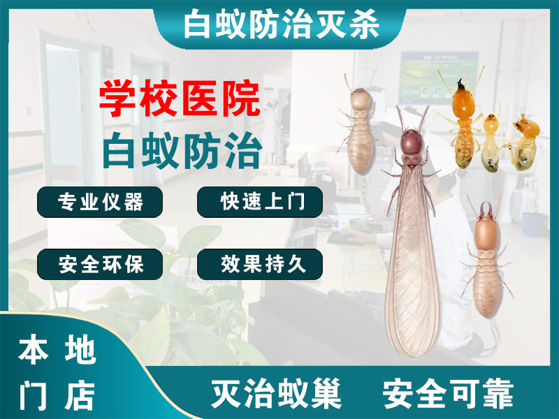 仙居学校医院白蚁防治