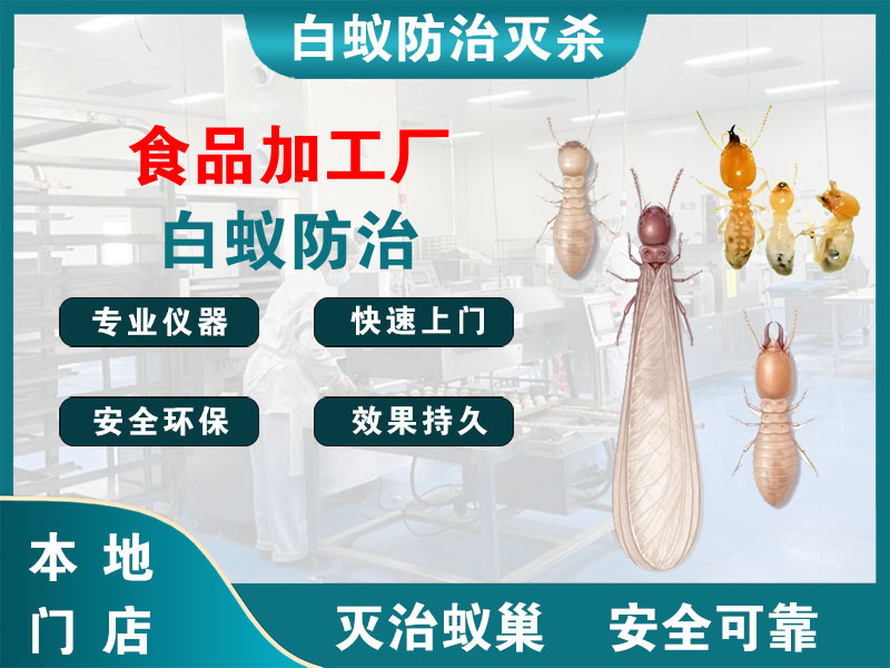 仙居食品加工厂白蚁防治