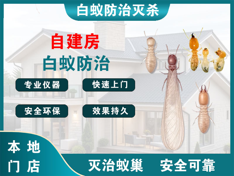 仙居自建房白蚁防治