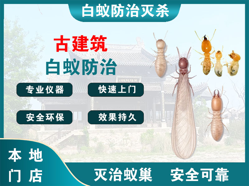 仙居古建筑白蚁防治